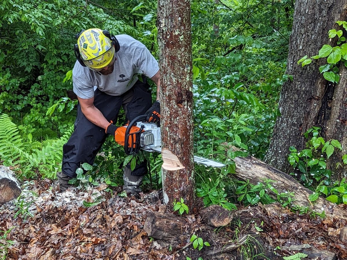 Stihl MS 400 C-M Chainsaw Review